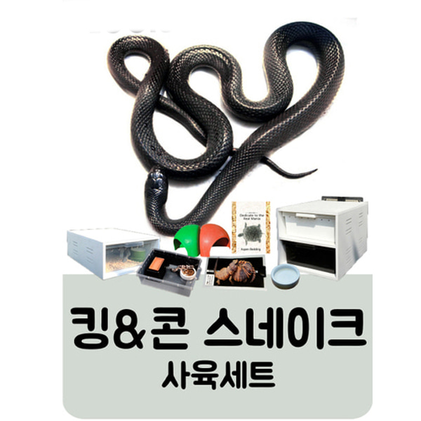 초보자용 킹&amp;콘 사육세트
